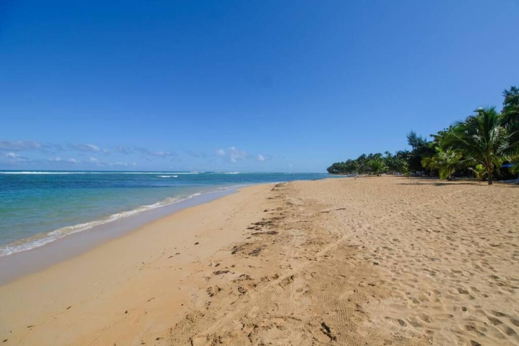 Palmeraie Terrenas Beach Apartamento Las Terrenas Exterior photo